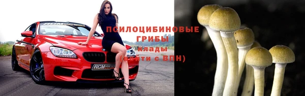 герыч Дмитриев