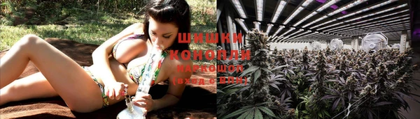 эйфоретик Видное